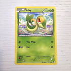 Snivy