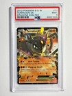 Terrakion EX