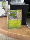 Oddish