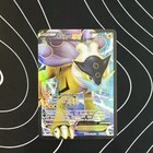Raikou EX