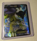 Raikou EX