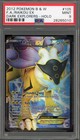 Raikou EX