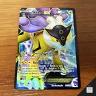 Raikou EX