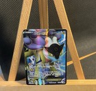 Raikou EX