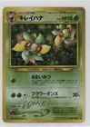 Bellossom