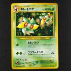Bellossom