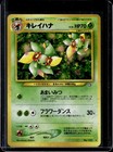 Bellossom
