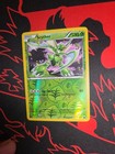 Scyther