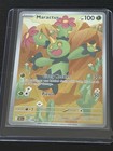Maractus
