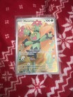 Maractus