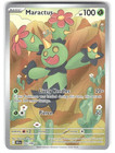 Maractus