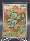 Maractus