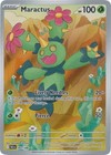 Maractus