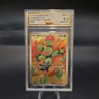 Maractus