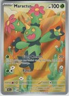 Maractus