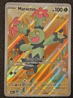 Maractus