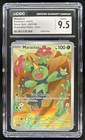 Maractus