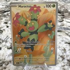 Maractus