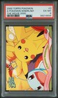 A Pokemon Wonderland