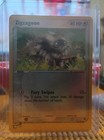 Zigzagoon
