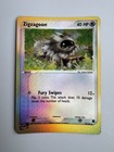 Zigzagoon