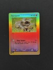 Zigzagoon