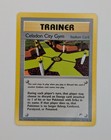 Celadon City Gym