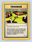 Celadon City Gym