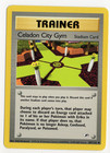 Celadon City Gym