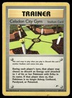 Celadon City Gym