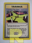 Celadon City Gym