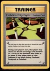 Celadon City Gym