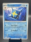 Sharpedo