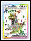 Cyclizar ex