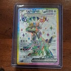 Cyclizar ex