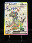 Cyclizar ex