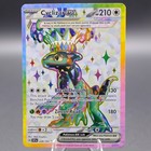 Cyclizar ex