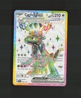 Cyclizar ex