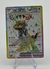 Cyclizar ex