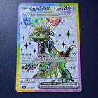 Cyclizar ex