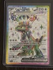 Cyclizar ex