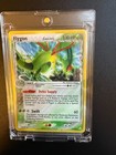 Flygon