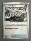 Antique Helix Fossil
