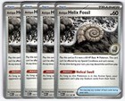 Antique Helix Fossil