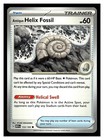 Antique Helix Fossil