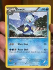 Dewott