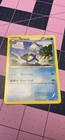 Dewott