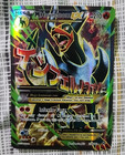 M Houndoom EX
