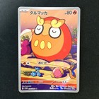 Darumaka
