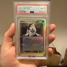 Absol